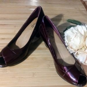 🍏 Euro Maroon Designer Comfort